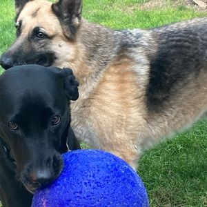 Meet your Posher, Kaitlin